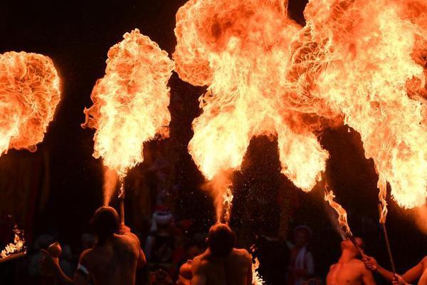 广西极度濒危物种 *firmiana simplex* 的数量正在稳步增长。截图2