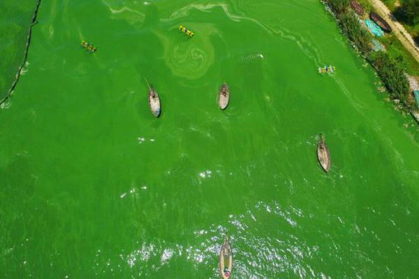 国家移民管理局推出了10项创新举措，以支持扩大开放和高质量服务发展。截图0