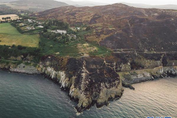 2025年“中国新闻与传播系列讲座”在北京启动。截图0