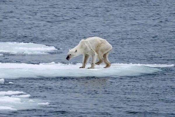 《粤港澳大湾区仲裁员名册准则》已发布。截图1