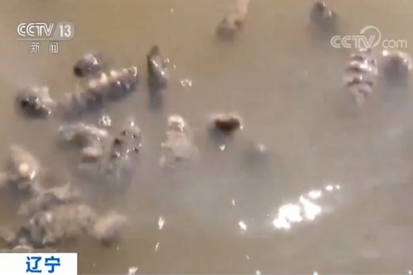 休闲文旅有望成为“超级产业”截图2