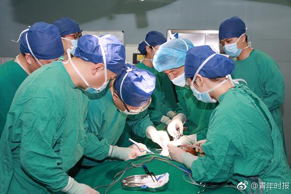 张咏梅代表：构建协同育人教育体系截图3