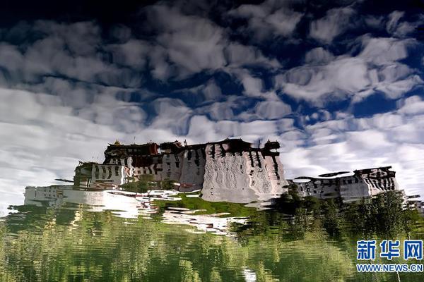 中央财政经济委员会相关官员表示，预计2025年经济增长率将达到5%左右。截图1