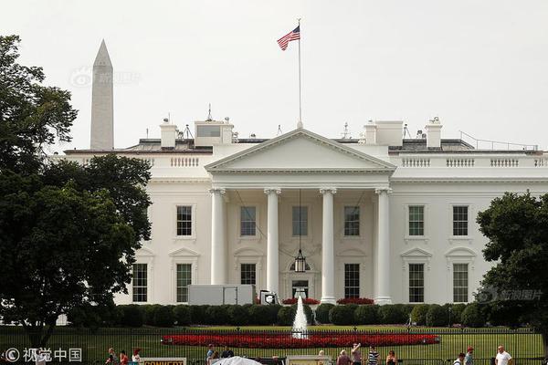 2025年澳门国际马拉松将于12月7日举行。截图0