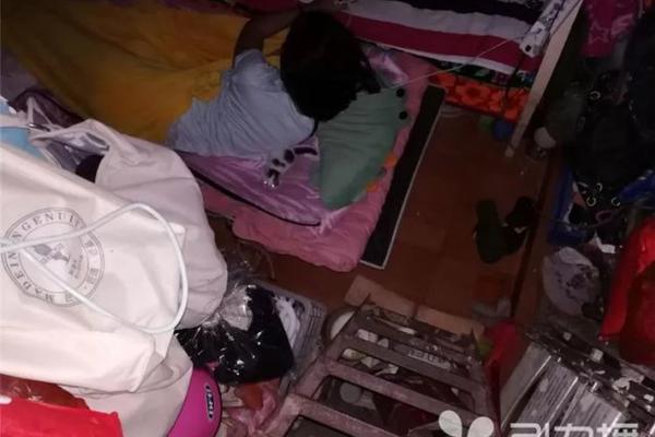 成为集体经济的优秀管理者。截图0