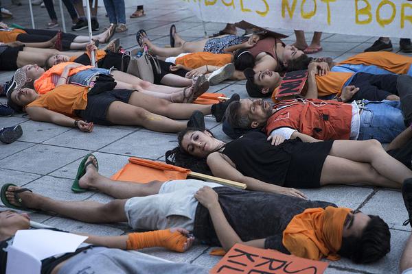 广西极度濒危物种 *firmiana simplex* 的数量正在稳步增长。截图3