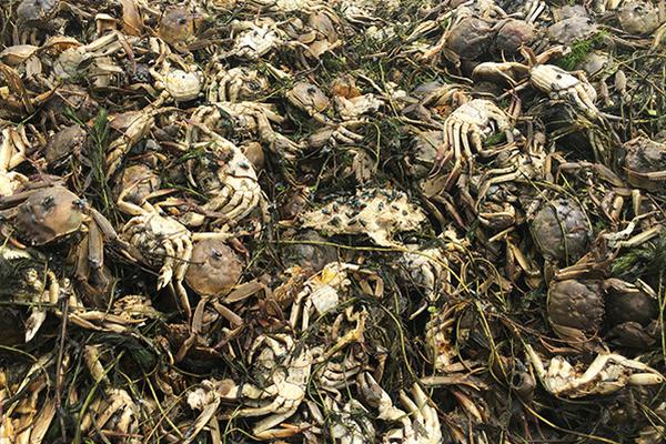 从“劏房”到香港体育馆的舞台，李家超赞扬了鼓舞人心的学生。截图1