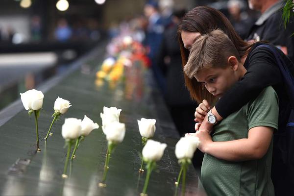 农业机械在小麦收割中展现了其价值。截图2