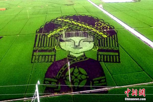 香港正在加快发展大宗商品交易生态系统。截图1