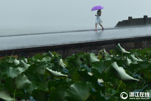 摘自关于推动中国报业主流媒体系统性改革研讨会的重要发言。截图2