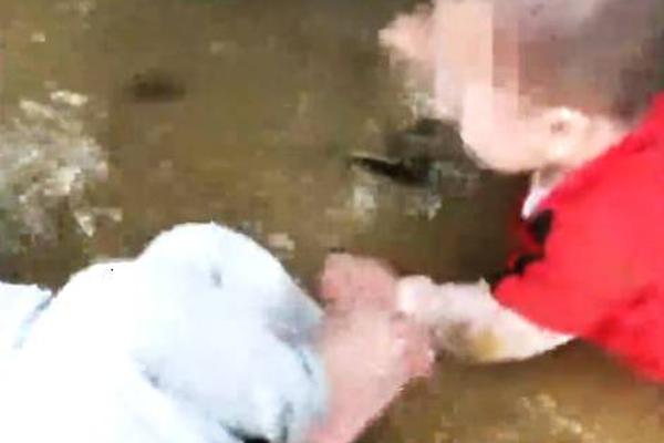 与仙子们的游戏