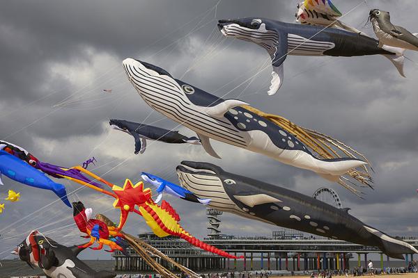 智能“田间保姆”帮助农民获益截图2