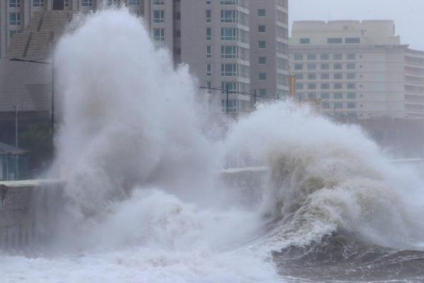 香港、澳门和台湾简讯：香港 2026 年人口普查的数据收集工作将全年进行。截图0