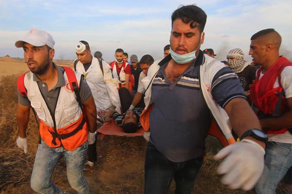 《新时代关键词：原创和标志性概念的全面探讨》已出版。截图3