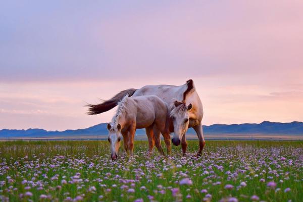 智能“田间保姆”帮助农民获益截图1