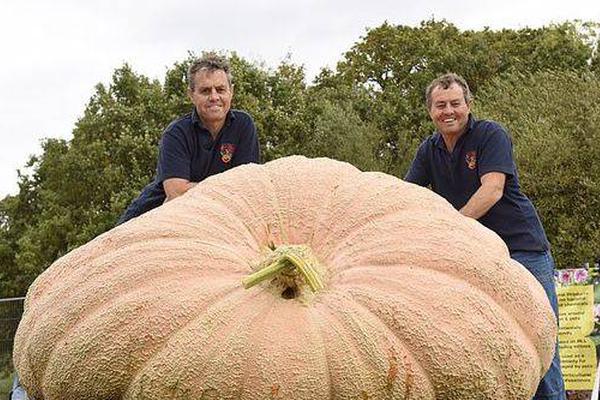 澳门跨境电商业界首次赴葡法拓商机截图4