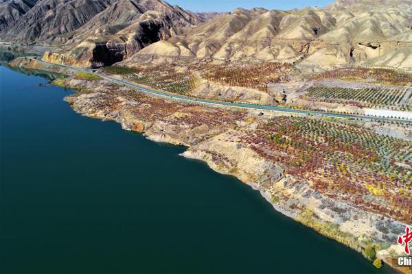 澳门举行第二十届佛诞嘉年华系列活动截图2