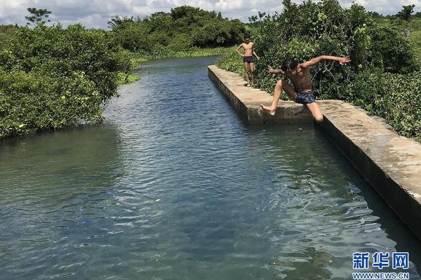 我能升级避难所