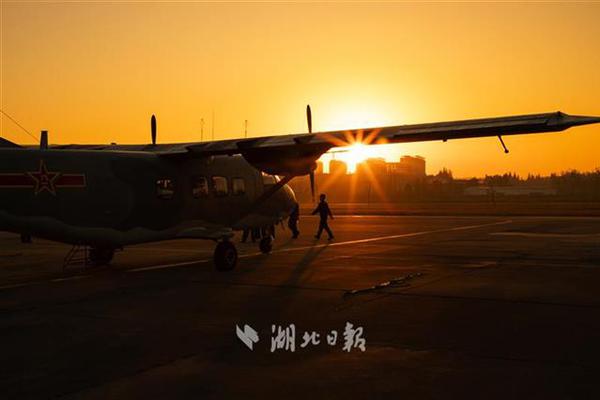 香港有望在全球绿色航运发展中发挥关键作用——国际航运公会（ics）主席格里马尔迪接受采访。截图1