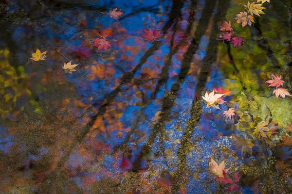 战场上容不得“差不多就行”。截图1