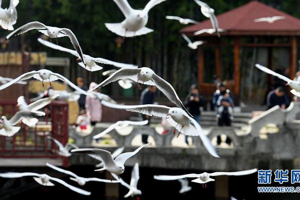 记者手记 _ 重返香港：城市复苏与重生的交响曲截图3