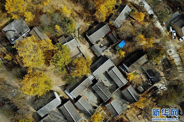 综合保护与发展截图1