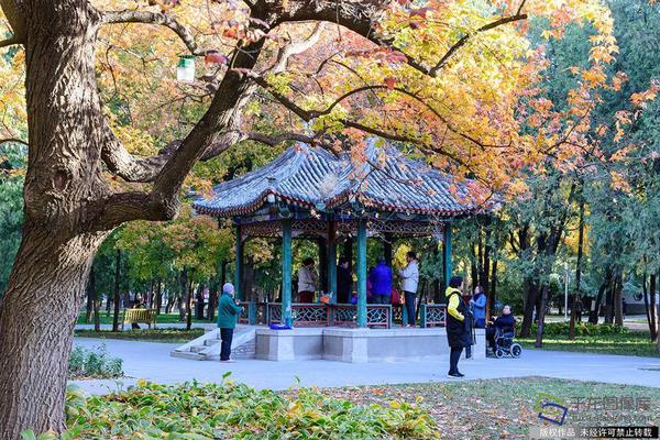 澳门举办青年就业匹配活动和就业前辅导课程截图1