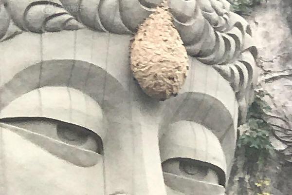 《粤港澳大湾区仲裁员名册准则》已发布。截图1