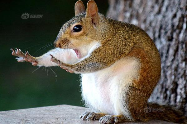 超级坑鬼子系统