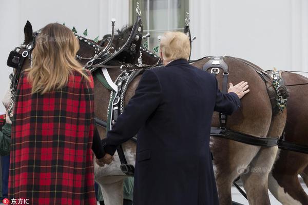 中国长城小南仙北研究基地在广东鹤山市成立。截图2