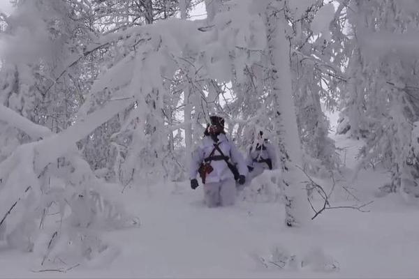 打响“三秋”保卫战截图1