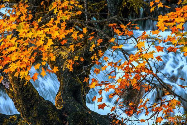 从“劏房”到香港体育馆的舞台，李家超赞扬了鼓舞人心的学生。截图0
