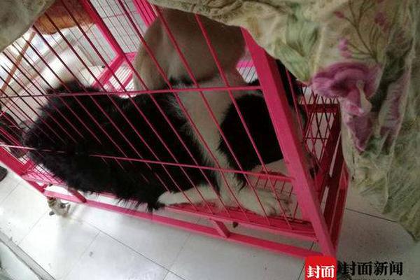 严惩“贷款掮客”乱象 维护金融秩序稳定截图0