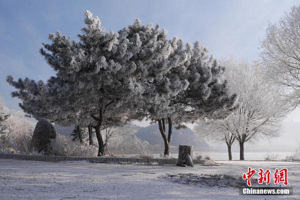 香港电影指南截图3