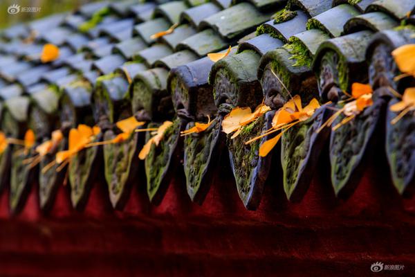 2025年凤凰古城文化旅游投资促进会议在香港举行。截图4