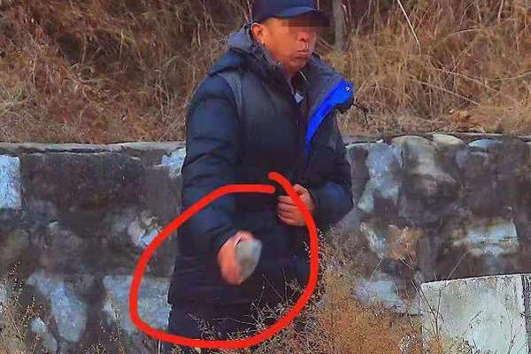 香港有望在全球绿色航运发展中发挥关键作用——国际航运公会（ics）主席格里马尔迪接受采访。截图2