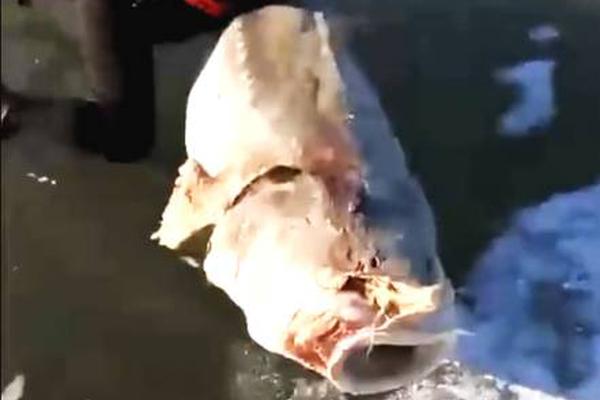 国庆中秋假期国内出游8.88亿人次 总花费超8090亿元截图1