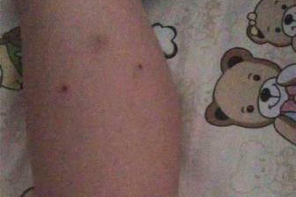 冷血女神们的复仇恋歌