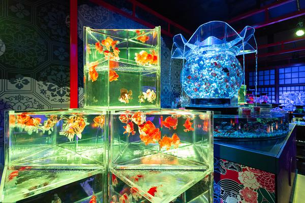 让文学拥抱现实生活截图2