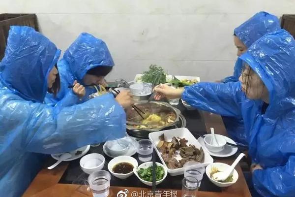 劳动补偿将“捕鸟人”变成了“护鸟人”。截图3