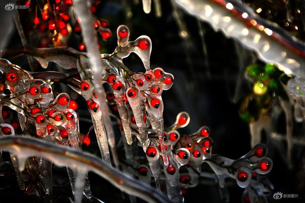 我们的科学家发现了一个调控水稻抽穗期的关键基因。截图1