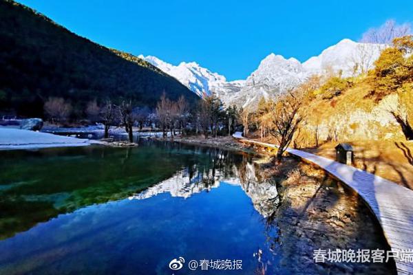 成为集体经济的优秀管理者。截图4