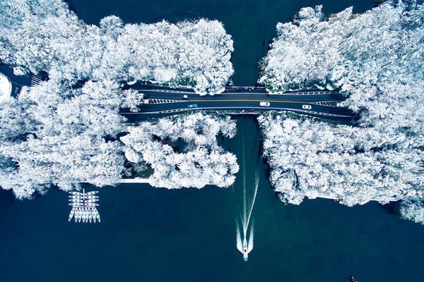 帮助农民的政策应该立足于实际情况。截图2