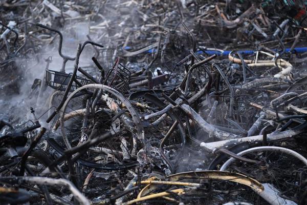 人民网公布2025年记者证申请人名单截图0