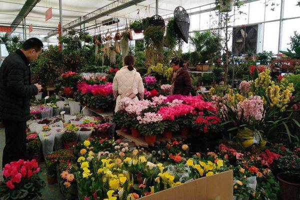 《第十五届全国运动会颂扬中华体育精神》在香港引起共鸣截图1