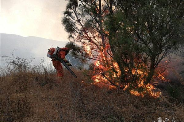 概述：推进国家安全教育，守护我们共同的家园——深化和实施香港国家安全教育截图3
