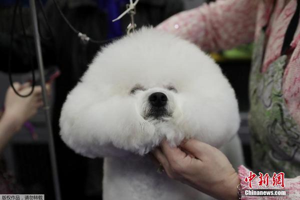 国防部：我们希望有关各方客观理性地看待中俄之间正常的防务合作。截图4