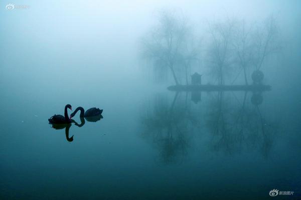 “颂扬中华体育精神”活动在澳门圆满落幕。截图3