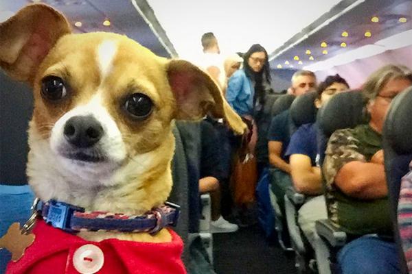 澳门前三季度非博彩游客消费达582.5亿元人民币。截图0