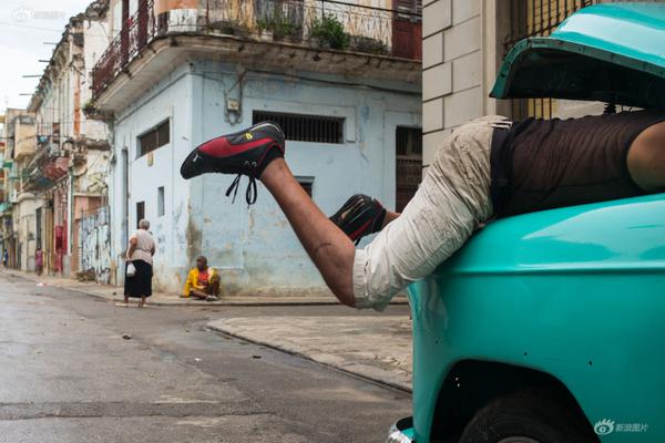 农村地区具有很强的适应能力，环境优美，物产丰饶。截图4